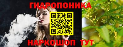тгк Кимры