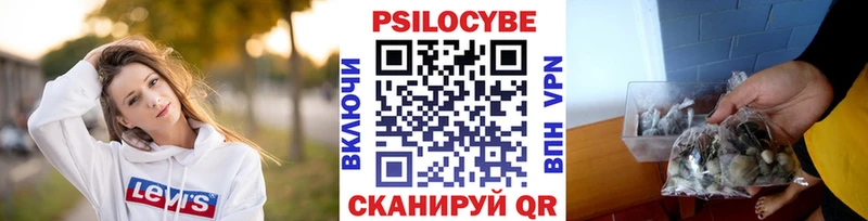 hydra маркетплейс  Карачаевск  Псилоцибиновые грибы прущие грибы 