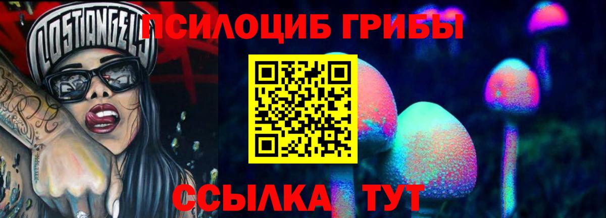 Псилоцибиновые грибы Psilocybine cubensis  Вход с VPN  Карачаевск  Псилоцибиновые грибы Psilocybe 